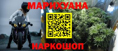 бошки Гатчина