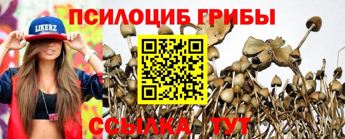 Галлюциногенные грибы MAGIC MUSHROOMS Полысаево